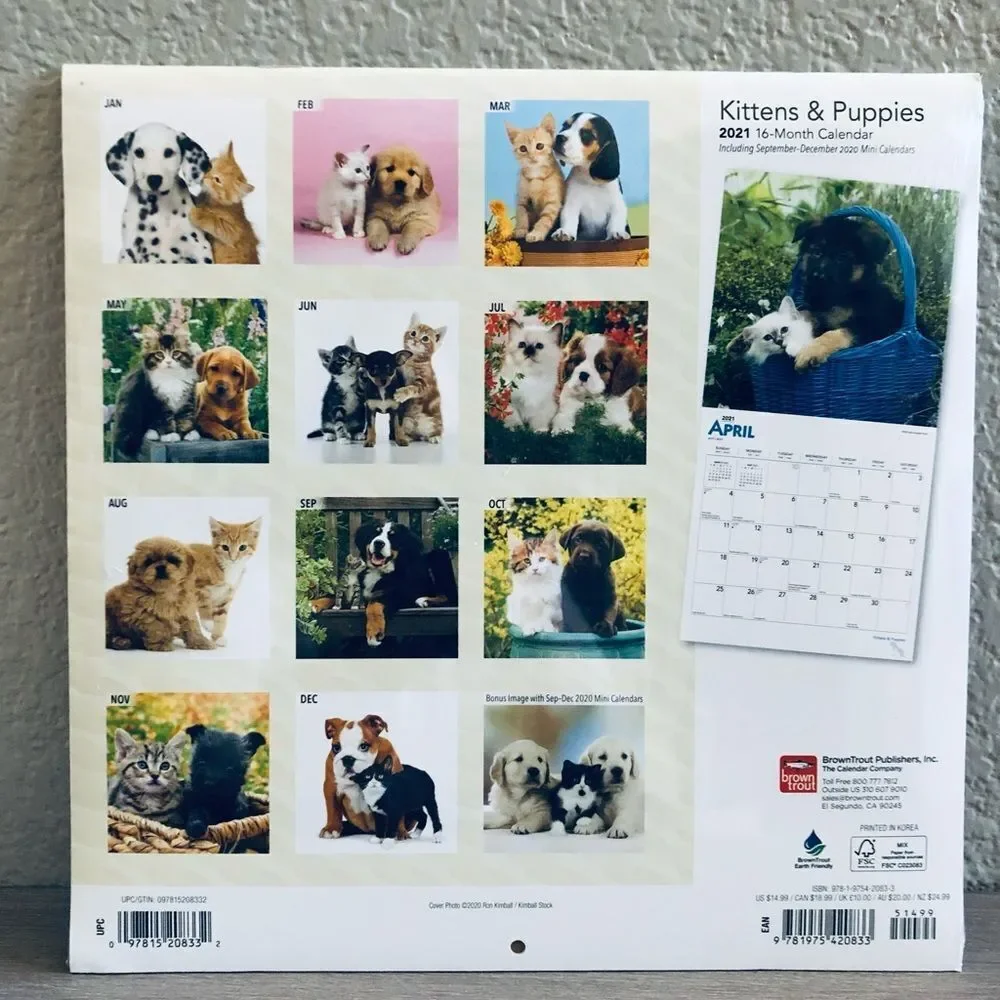 Kittens & Puppies Wall Art Cat Dog Decor Calendar